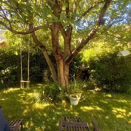 Dans Provencale, Jardins Et 3vtt Disponibles