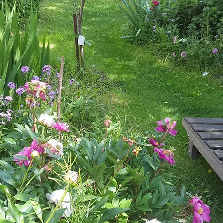 Dans Provencale, Jardins Et 3vtt Disponibles