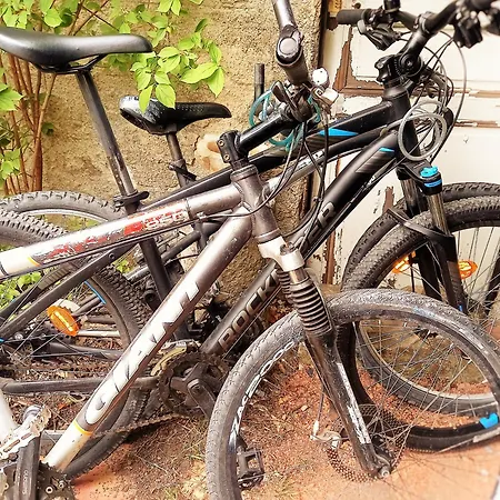 Dans Provencale, Jardins Et 3vtt Disponibles * Digne-les-Bains